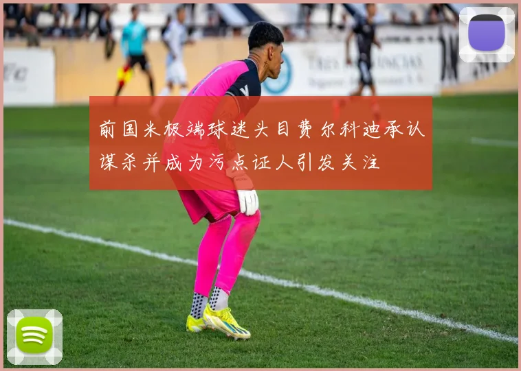 前国米极端球迷头目费尔科迪承认谋杀并成为污点证人引发关注
