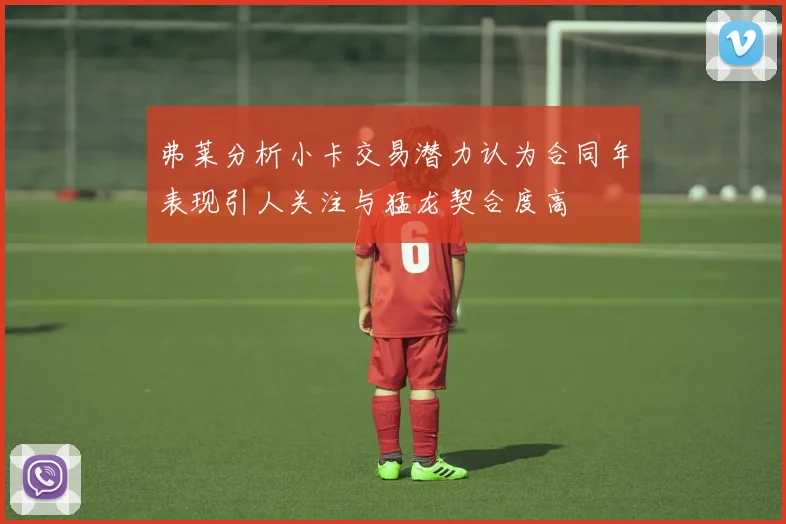 弗莱分析小卡交易潜力认为合同年表现引人关注与猛龙契合度高